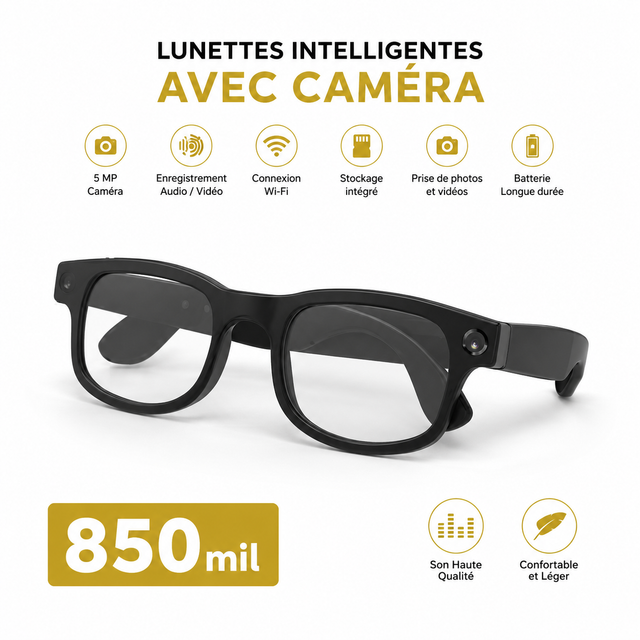 Lunettes IA avec Camera